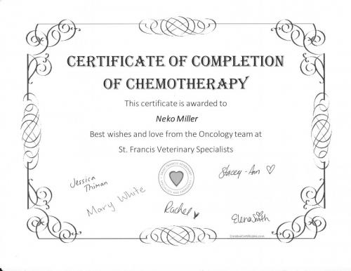 Neko-Chemo-Certificate