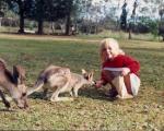 Allison with a kangaroo in Australia, 1991.